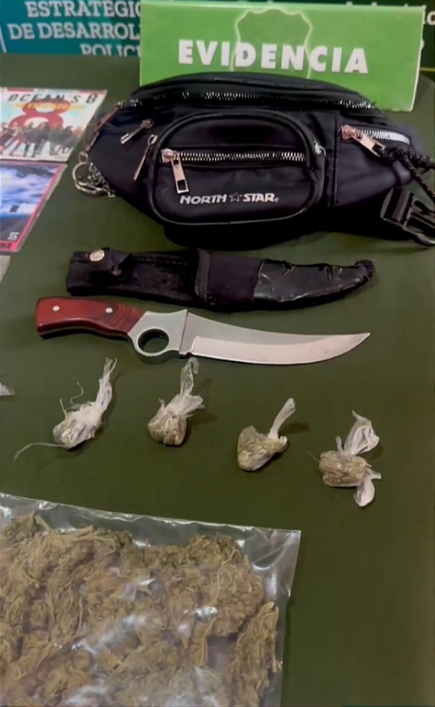 Ancud: SIP de Carabineros detiene a dos sujetos por los delitos de porte de drogas, arma blanca e infracción a la Ley de Propiedad Intelectual
