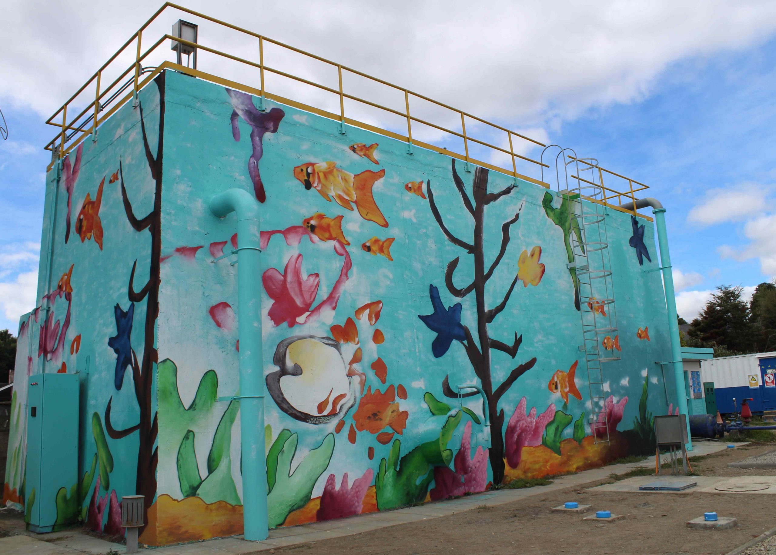 Estanques de tormenta han evitado que más de 93 millones de litros de aguas mixtas lleguen al lago Llanquihue