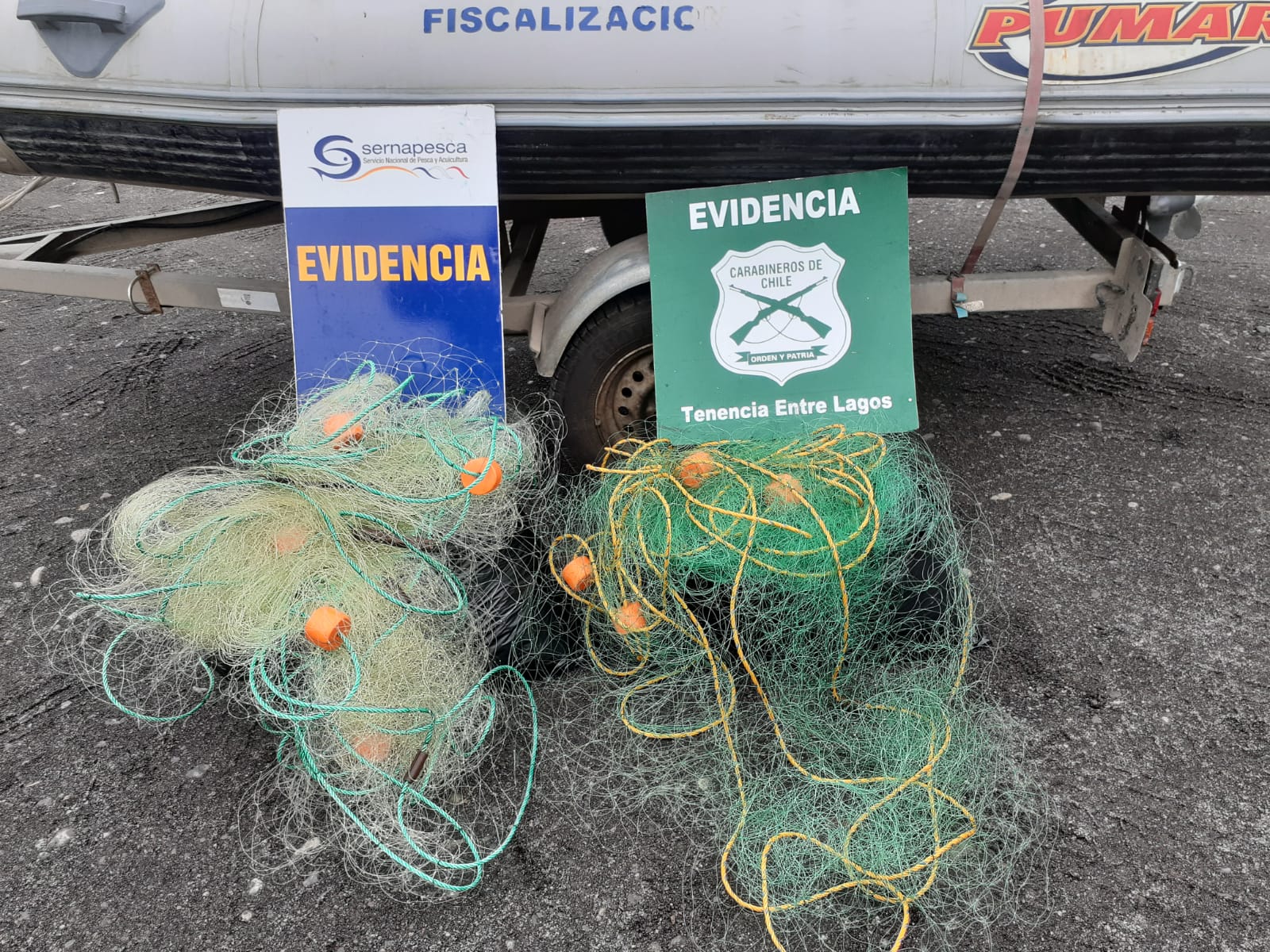 Detectan y retiran dos paños de redes de pesca instalados en el Lago Rupanco