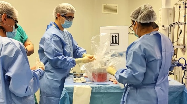 Hospital de Puerto Montt desarrolla nuevo procuramiento de órganos. Es el octavo en lo que va de año