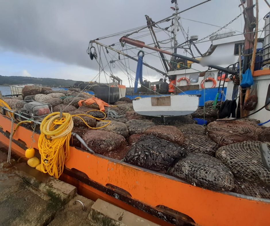 Sorprenden embarcación con 15 toneladas de recursos ilegales