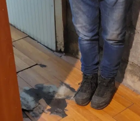 Pobladores de Alerce presentan recurso buscando para que sus viviendas se declaren inhabitables