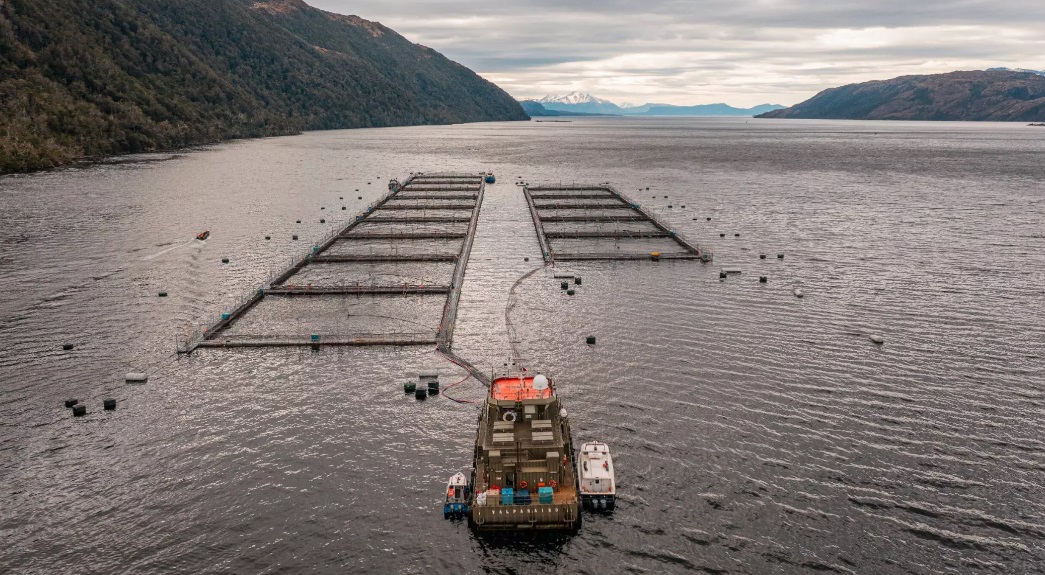 Contraloría instruye realización de sumario a SERNAPESCA y Subsecretaría para las Fuerzas Armadas