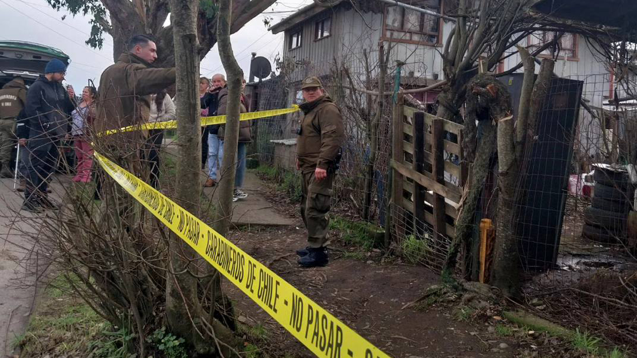 En internación provisoria queda joven por matar a hachazos a perro en Ancud