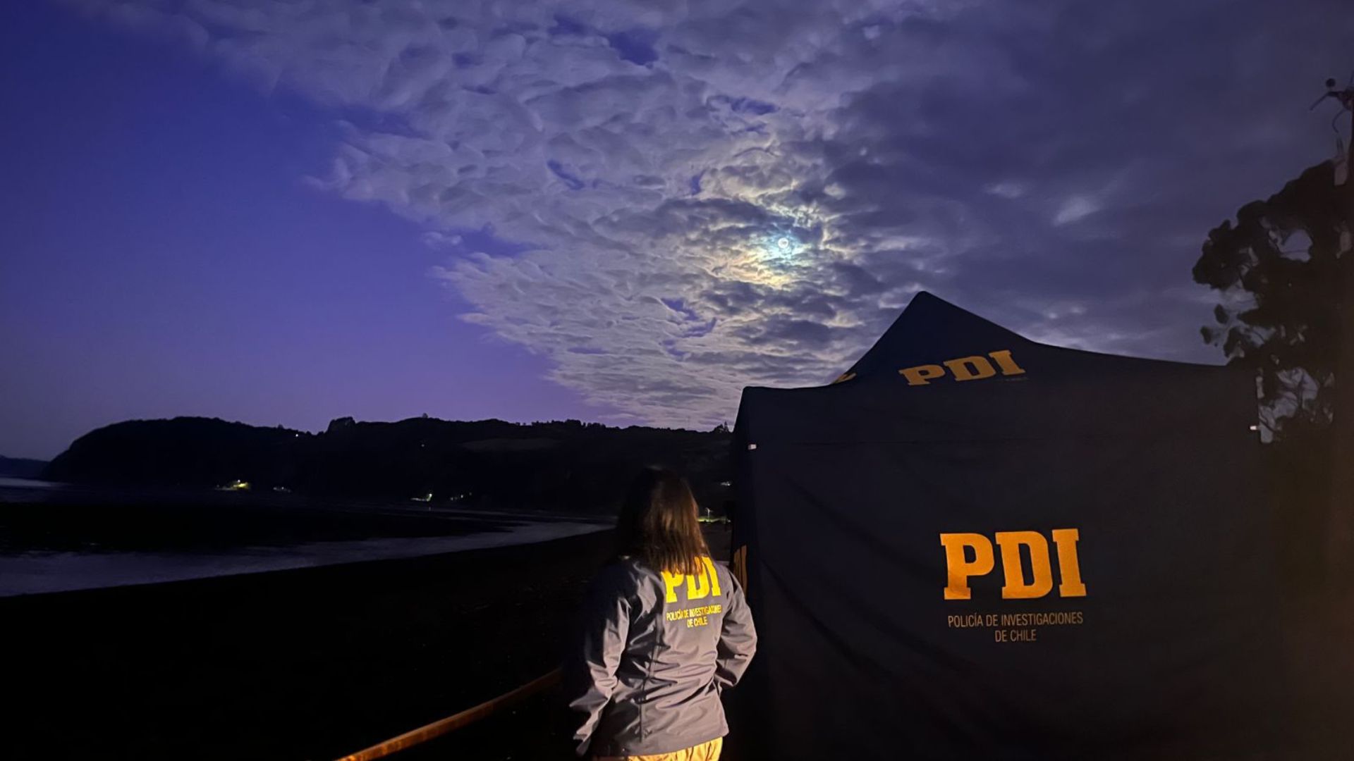 Muere trabajador tras caída de árbol durante faena forestal en Ancud