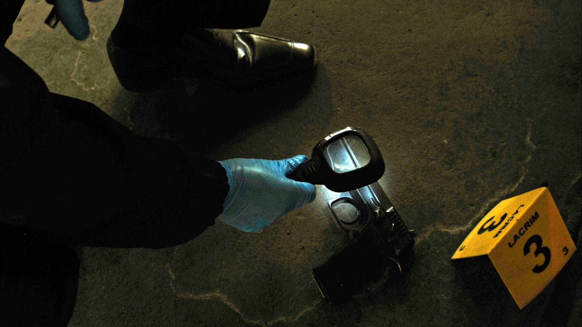 Mujer muere baleada en su casa de Frutillar y hay dos detenidos