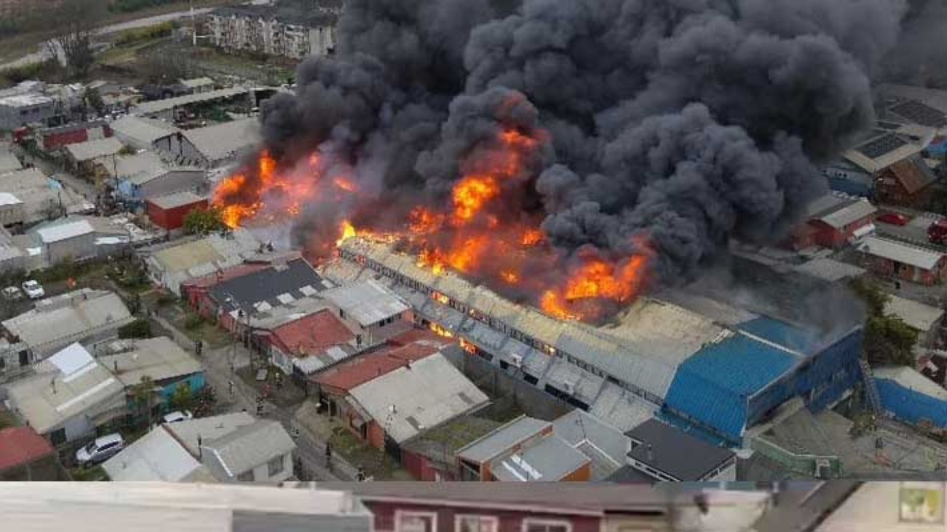 Infernal incendio sacude Concepción y deja a medio centenar de personas afectadas