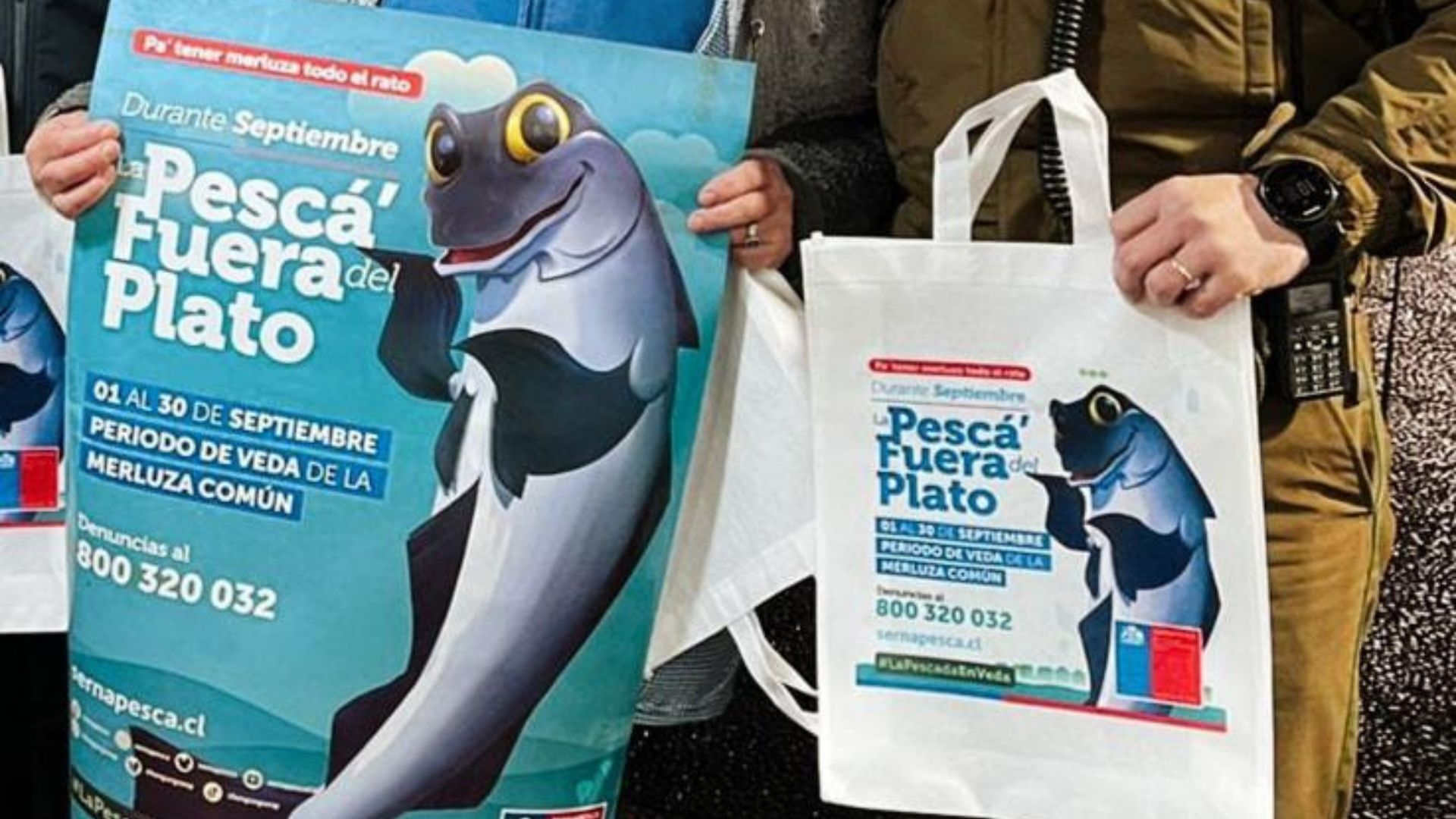 Pescadores de Calbuco acusan extracción ilegal de merluza austral en Palena y Butachauques