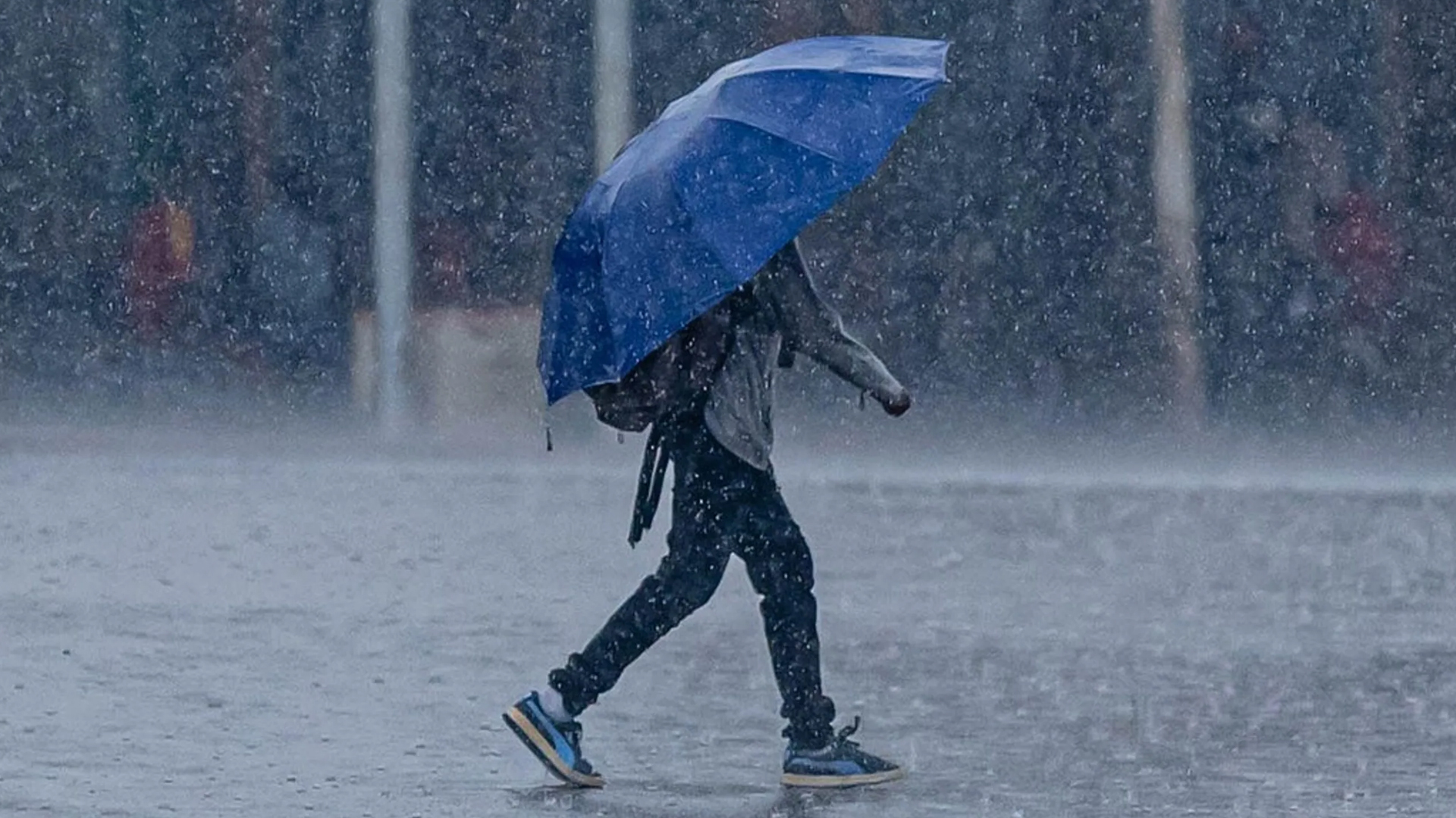Declaran alerta temprana preventiva en Los Lagos por sistema frontal con viento y lluvias