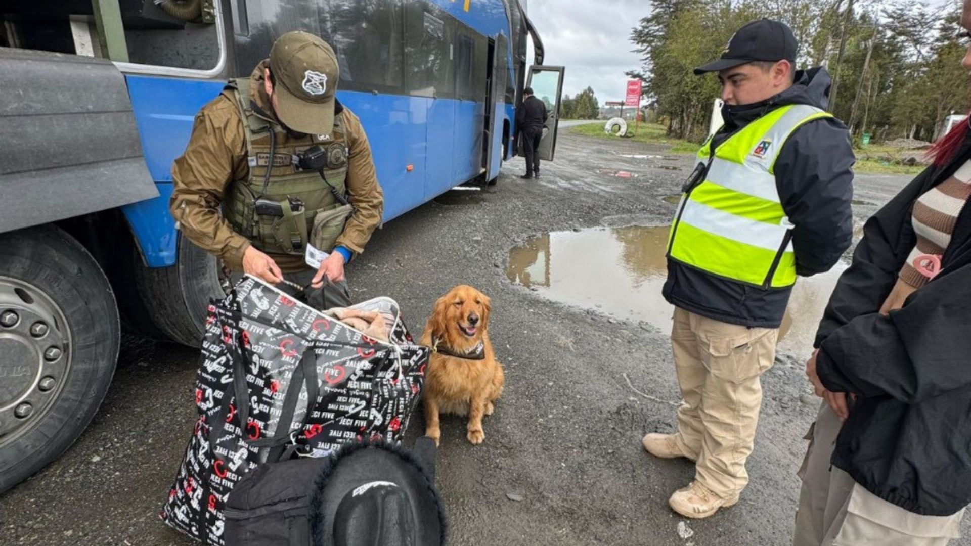 Dalcahue refuerza la seguridad vial con operativos preventivos en la antesala de Fiestas Patrias