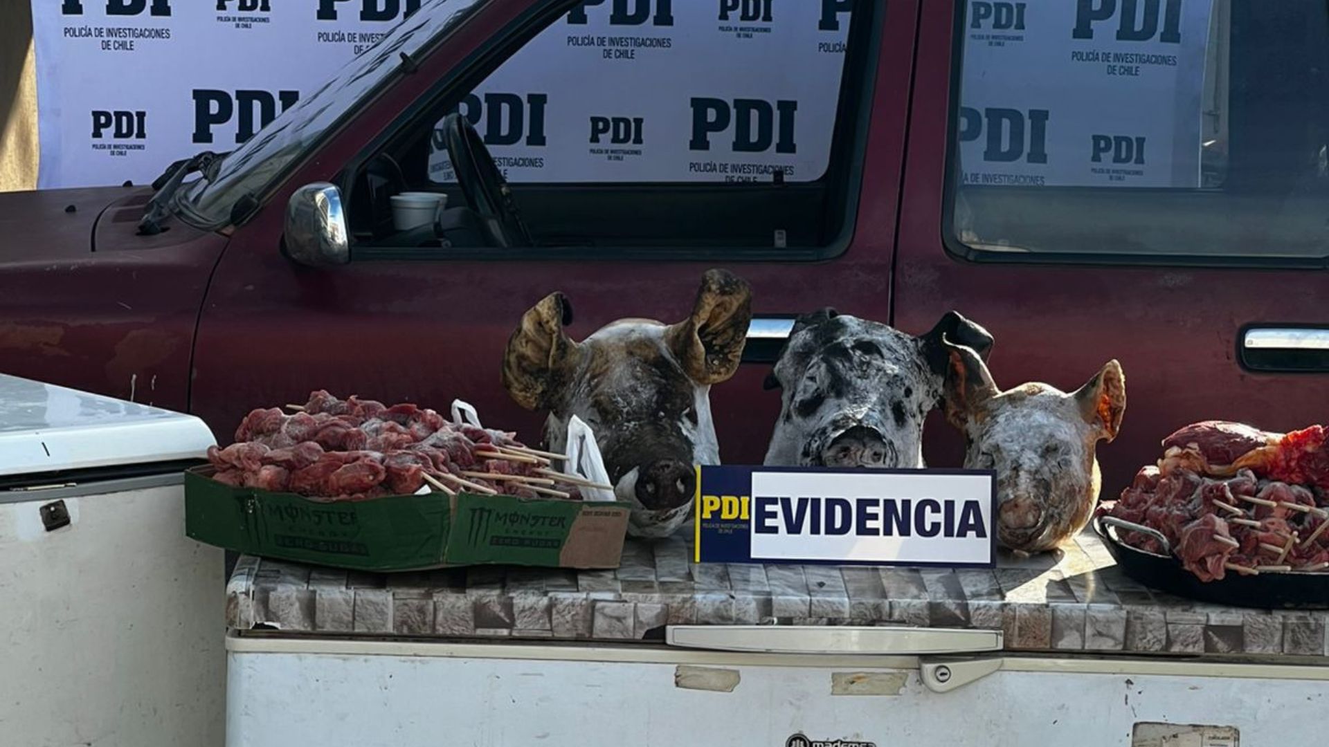 PDI desarticula banda dedicada al abigeato en Osorno y Puyehue con cuatro detenidos