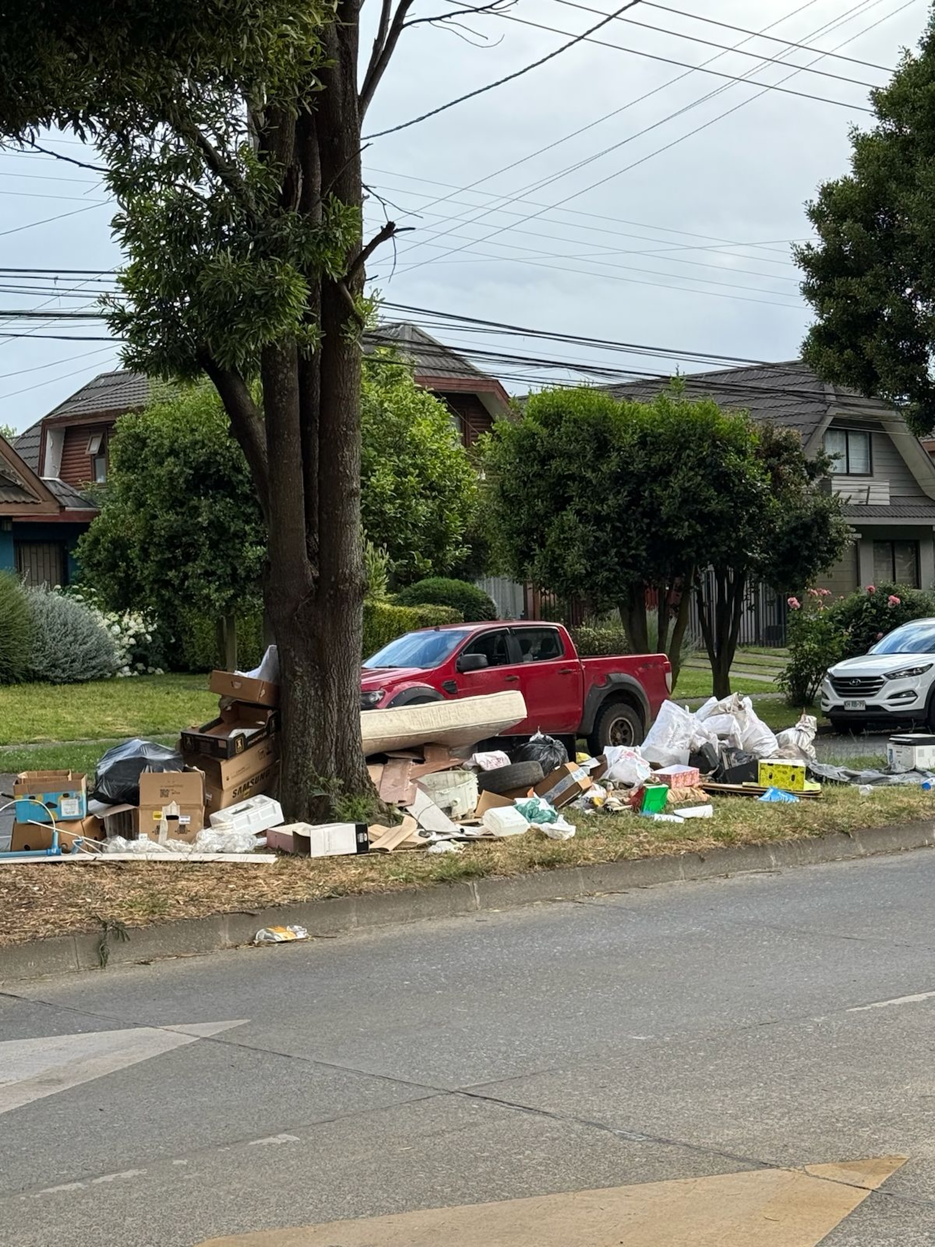 Vecinos de Los Aromos en Osorno, denuncian microbasurales y exigen mayor acción municipal