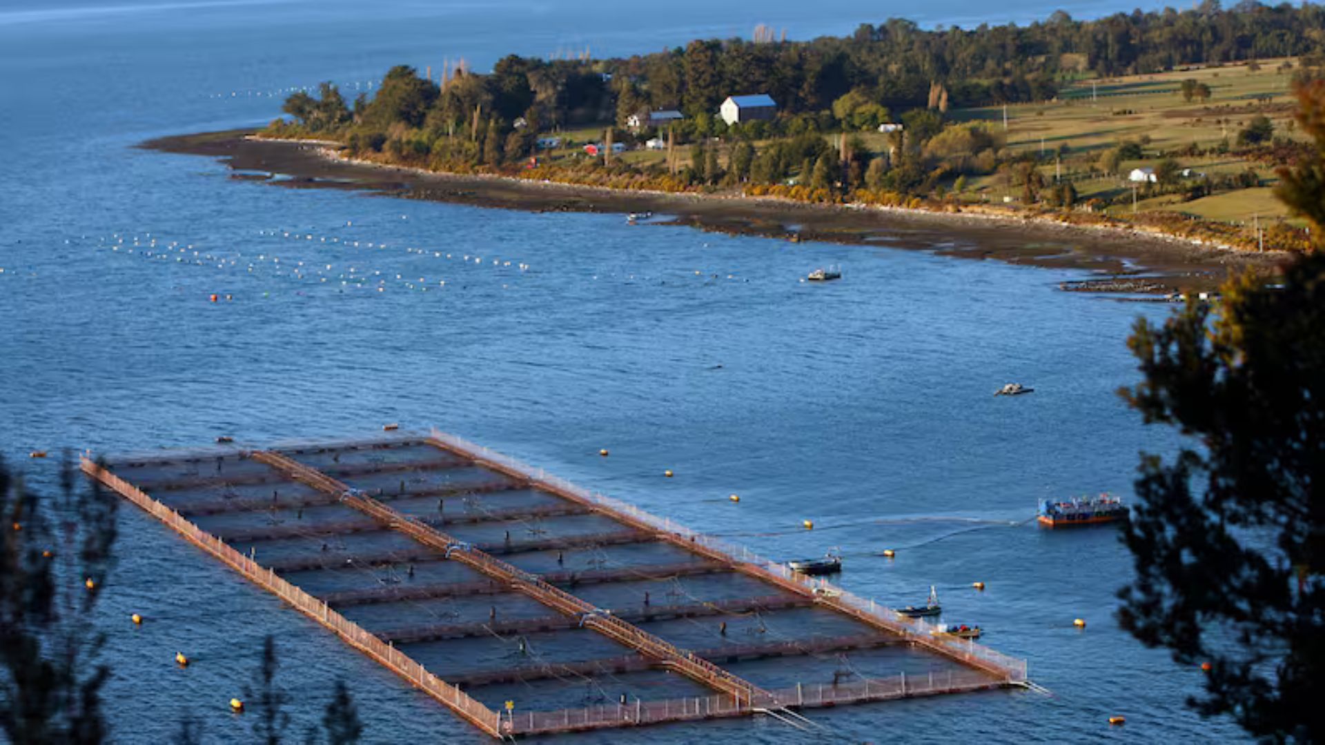 Comité de Chiloé denuncia incertidumbre y tensión por reactivación de solicitudes de ECMPO en Aysén