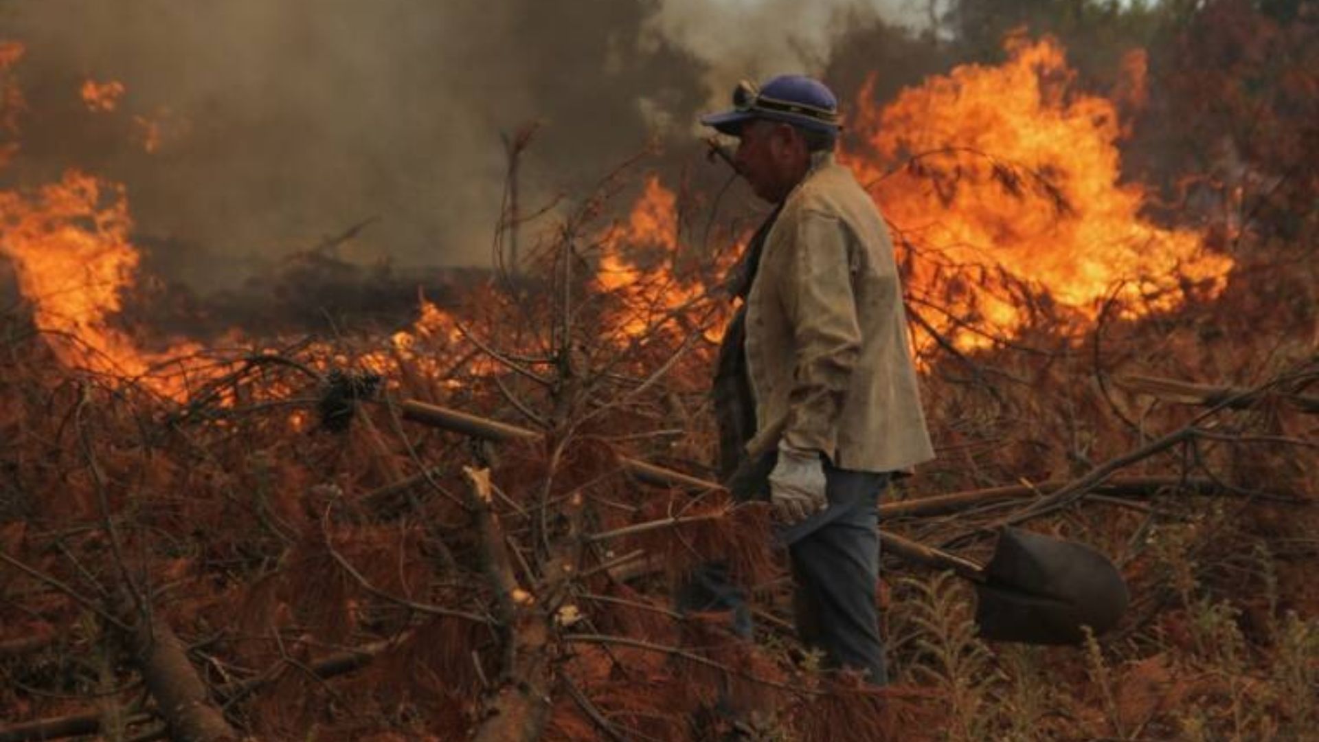 Chiloé refuerza alerta por temporada de prohibición de fuego