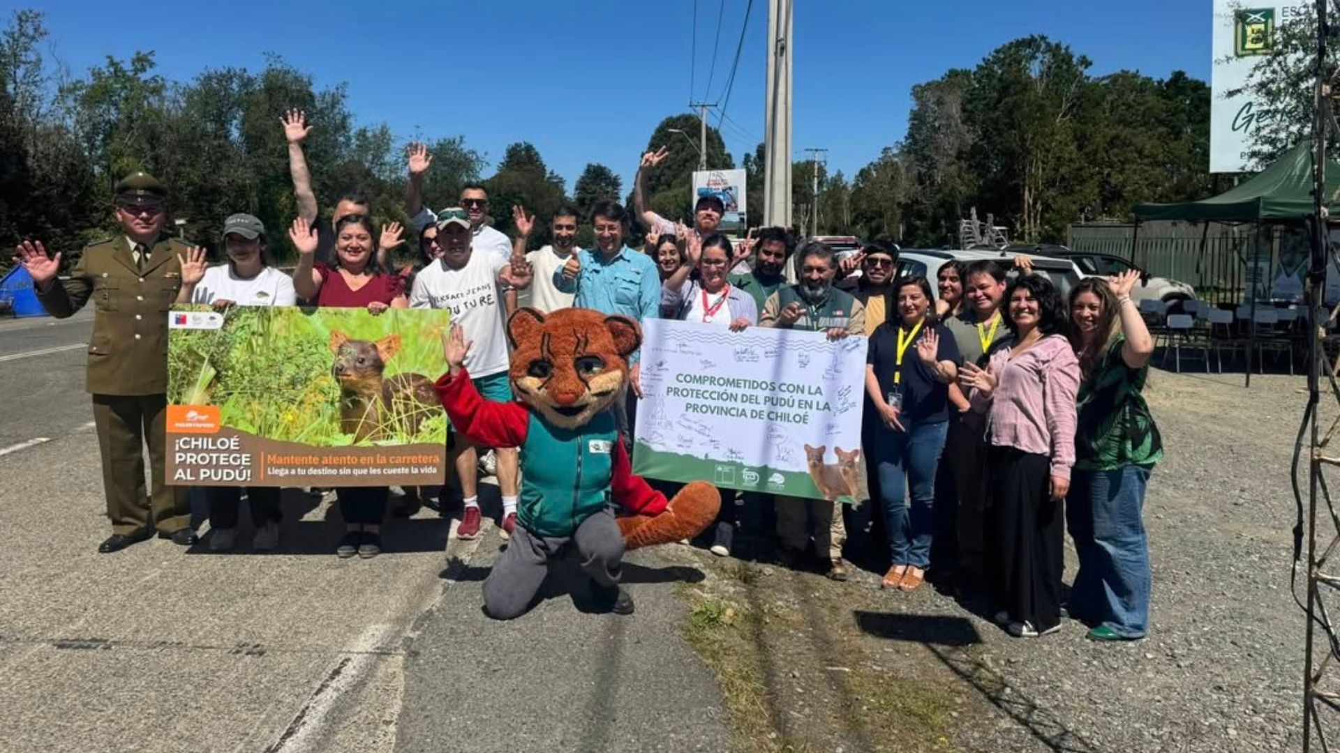 Gobierno activa plan piloto para proteger al pudú en sectores críticos de Ancud