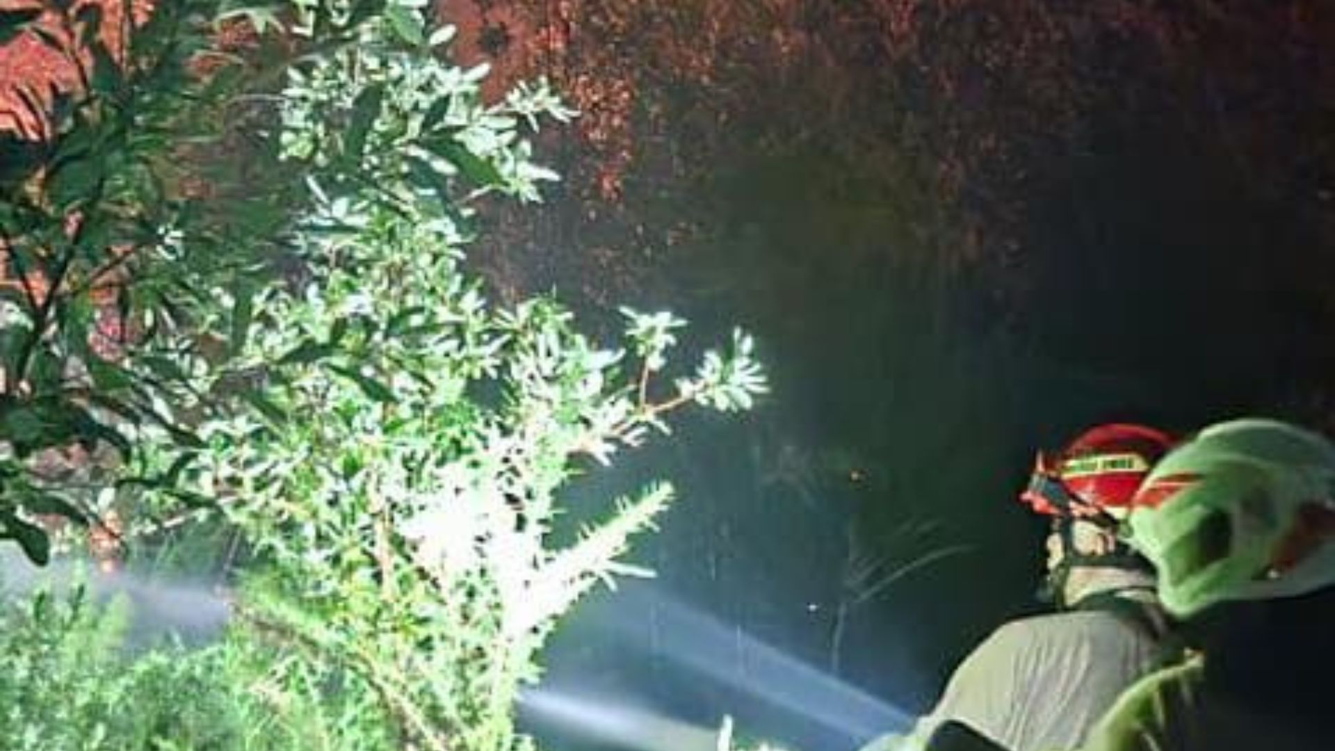 Municipio de Puerto Montt presentará querella por incendio con múltiples focos en el Parque Vivero Alerce