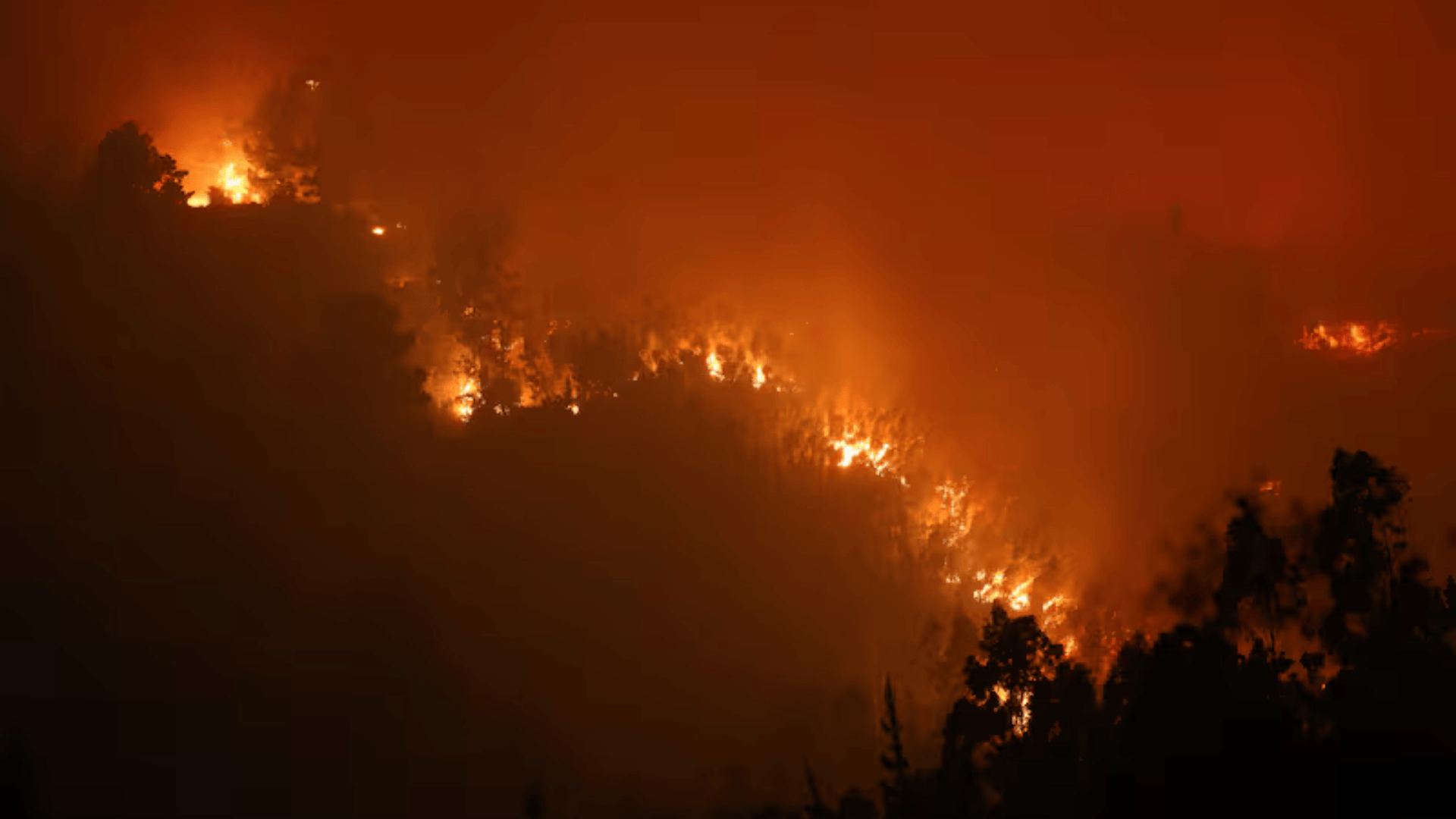 Conaf y Senapred despliegan más de 400 personas y 36 aeronaves para combatir incendios en Ñuble y Biobío
