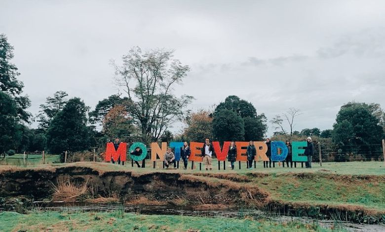 Monte Verde abre camino al plan nacional que protegerá los grandes sitios arqueológicos de Chile