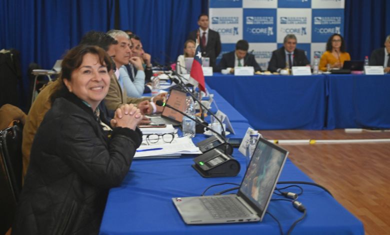 Dalcahue avanza en seguridad vial: Consejo Regional aprueba proyecto para intervenir Avenida Mocopulli