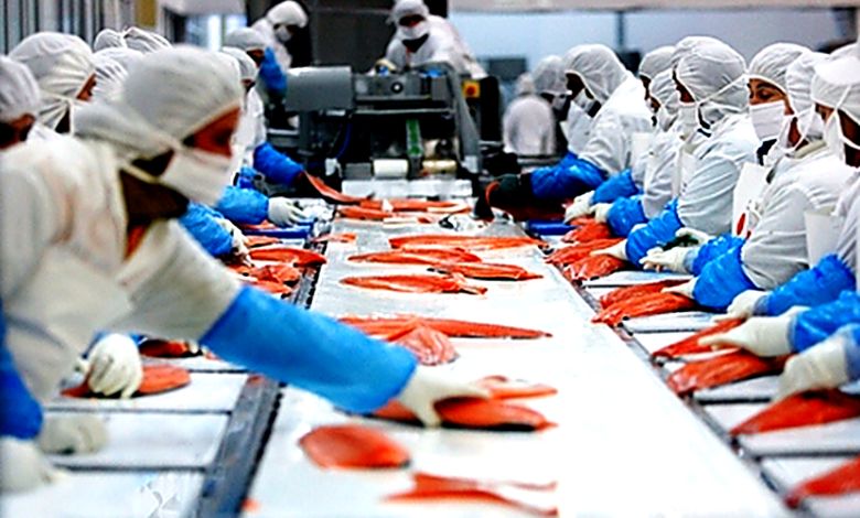 Salmón chileno marca histórico ingreso de divisas y encabeza exportaciones no mineras