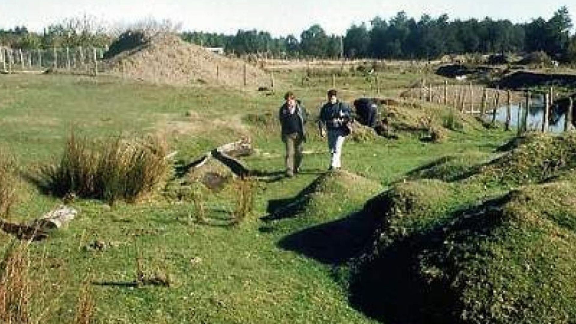 Nuevo estudio pone en duda a Monte Verde como el asentamiento más antiguo de América