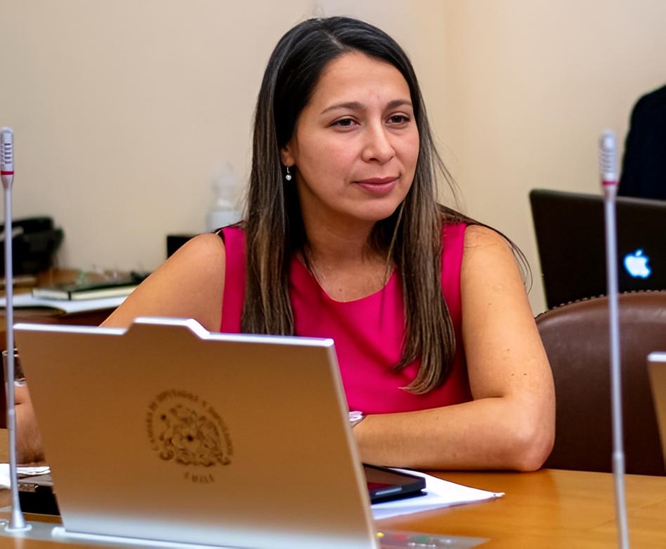 Diputada Paulina Muñoz: “La violencia juvenil es un legado de Boric y la extrema izquierda”