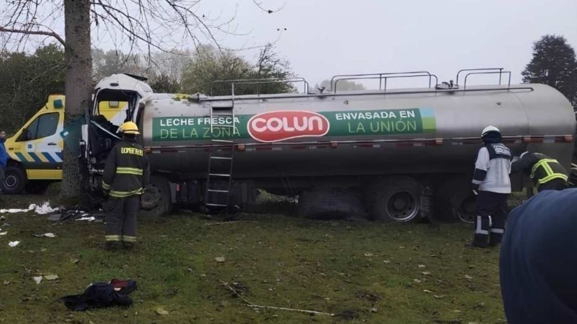 Conductor de camión lechero fallece tras accidente en Río Bueno