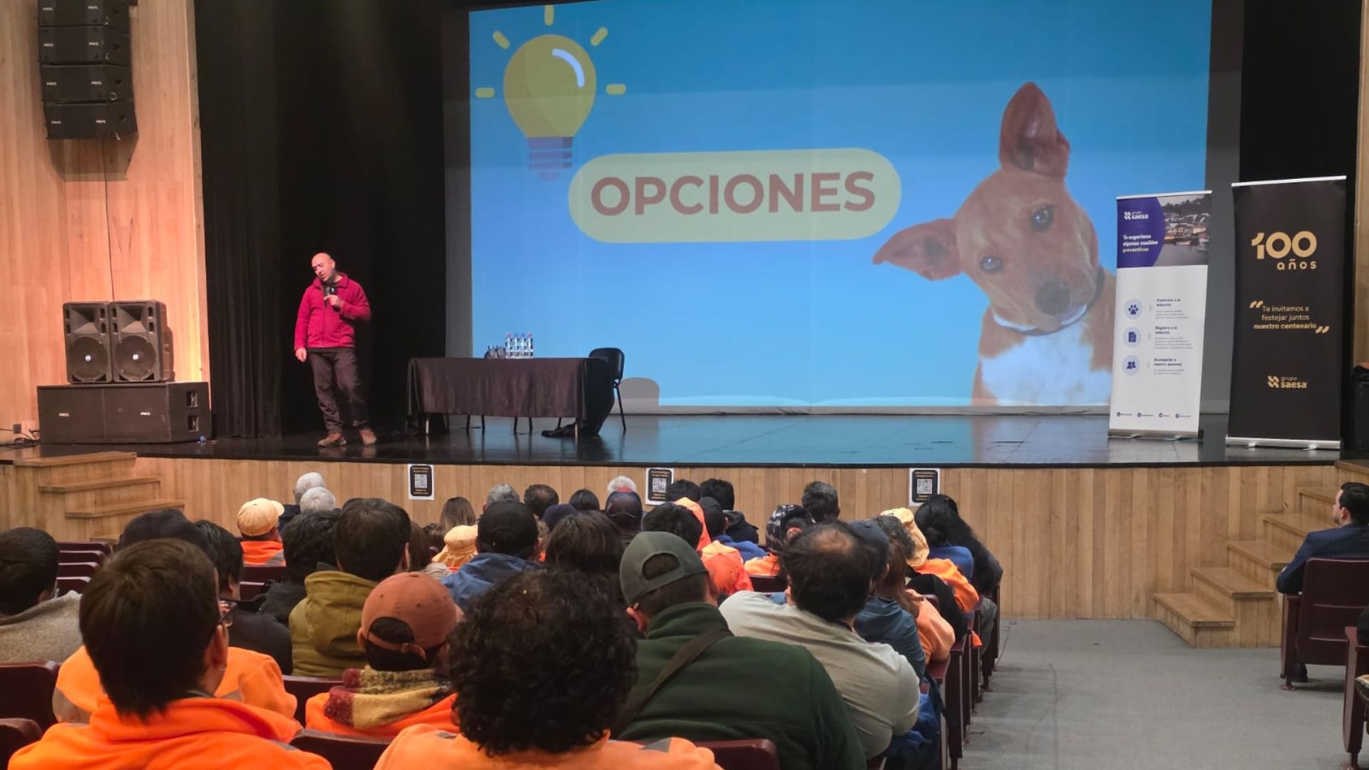 Saesa fortalece acciones de tenencia responsable de mascotas en Chiloé