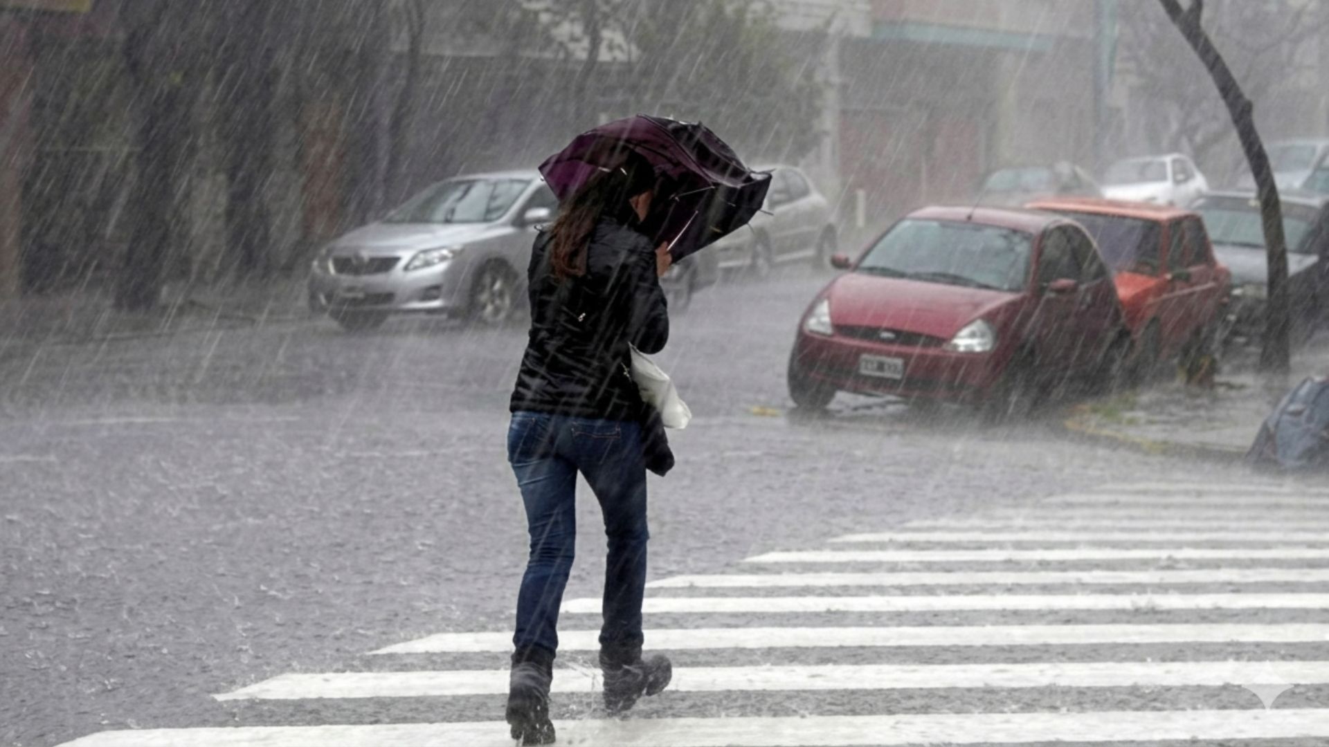 Lluvias y viento marcarán la semana en la Provincia de Osorno