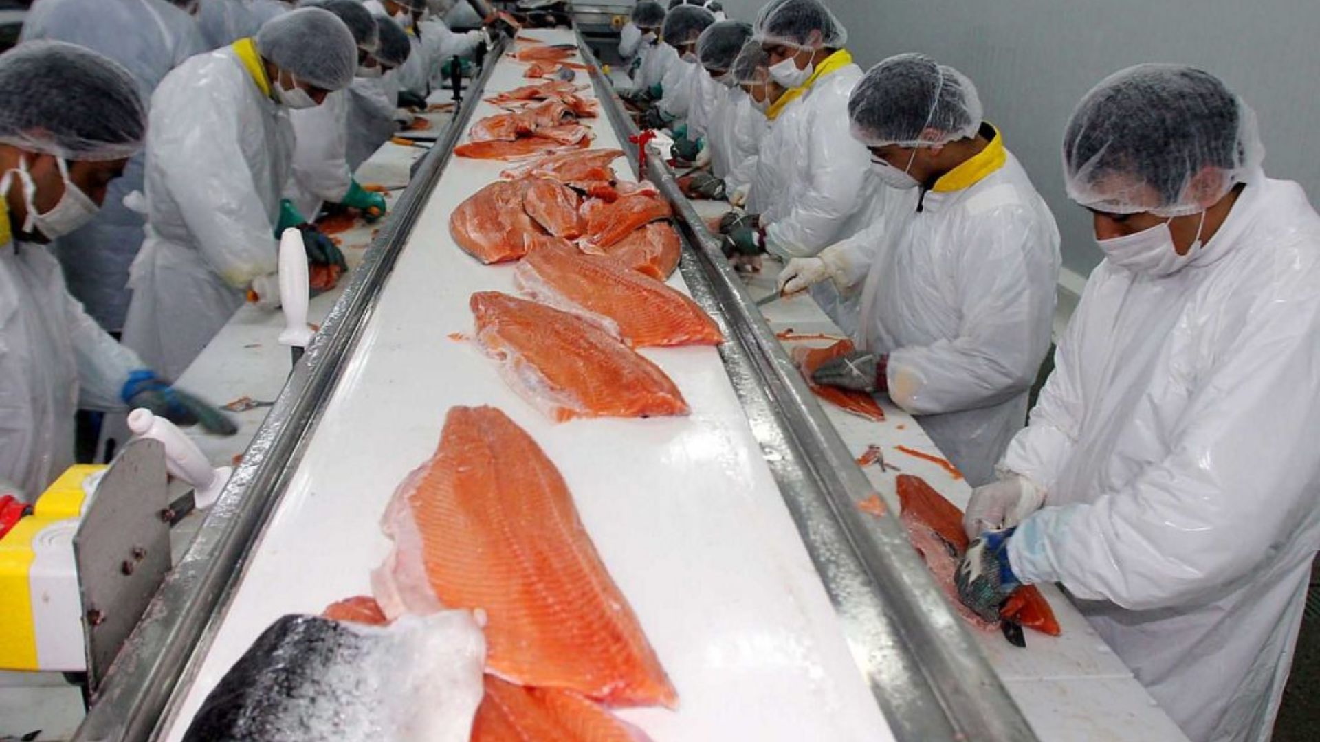 Aumenta el desempleo en Los Lagos y alcanza 6,6% en el primer trimestre