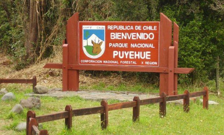 Parque Nacional Puyehue celebra 85 años destacando su valor ecológico
