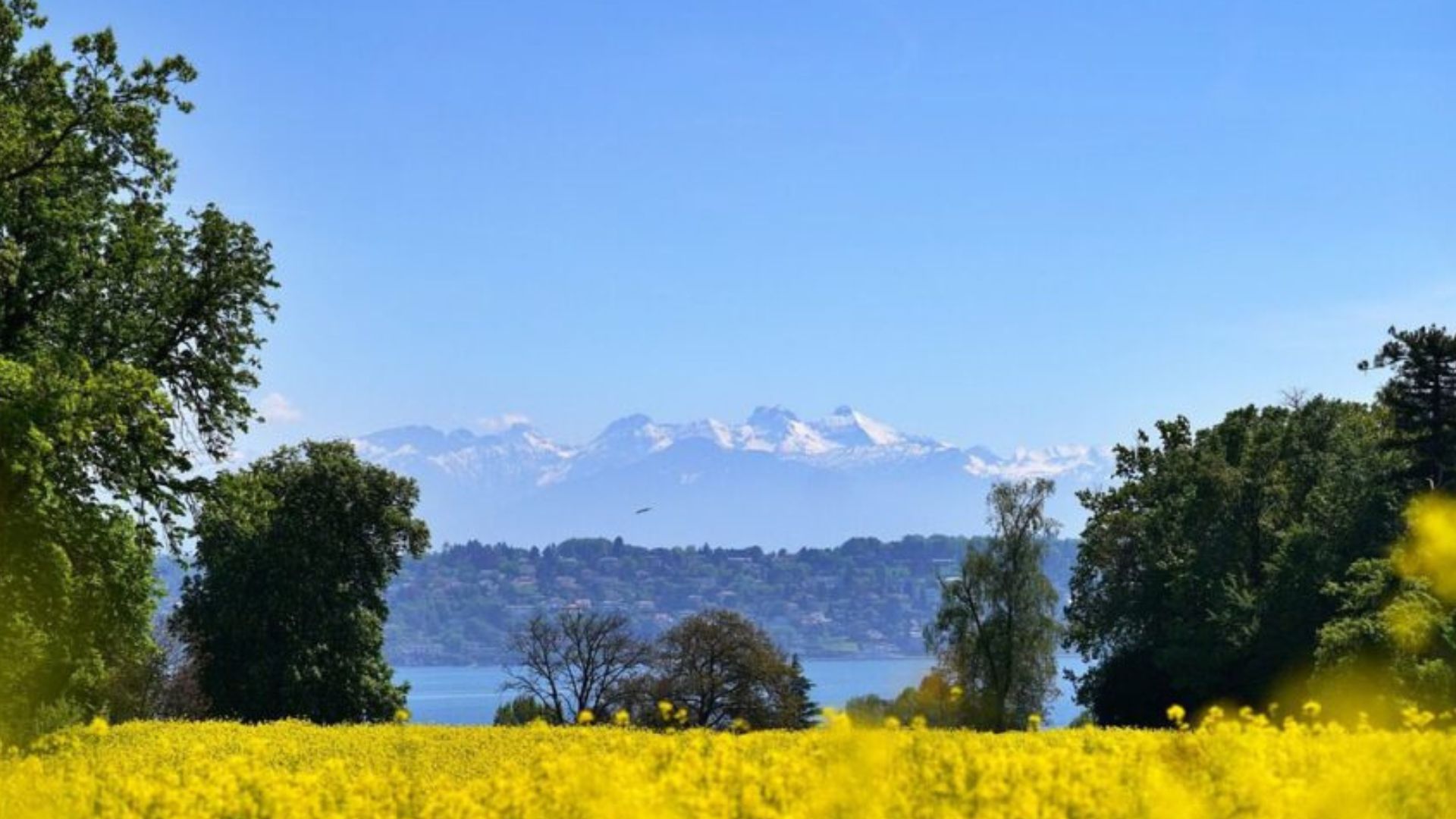 Suprema confirma paralización de proyecto inmobiliario irregular en Puerto Varas