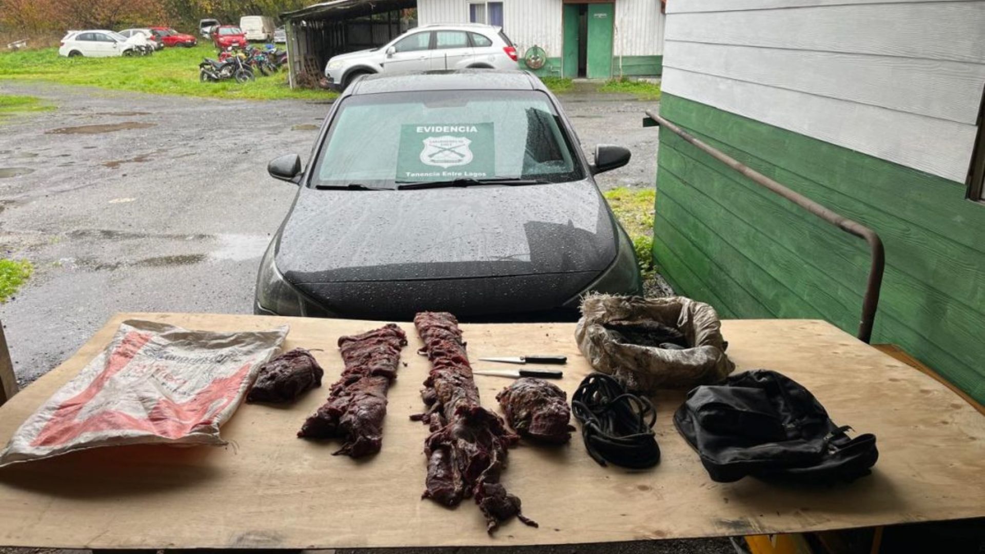 Detienen a tres hombres por abigeato en Puyehue tras control policial en Entre Lagos