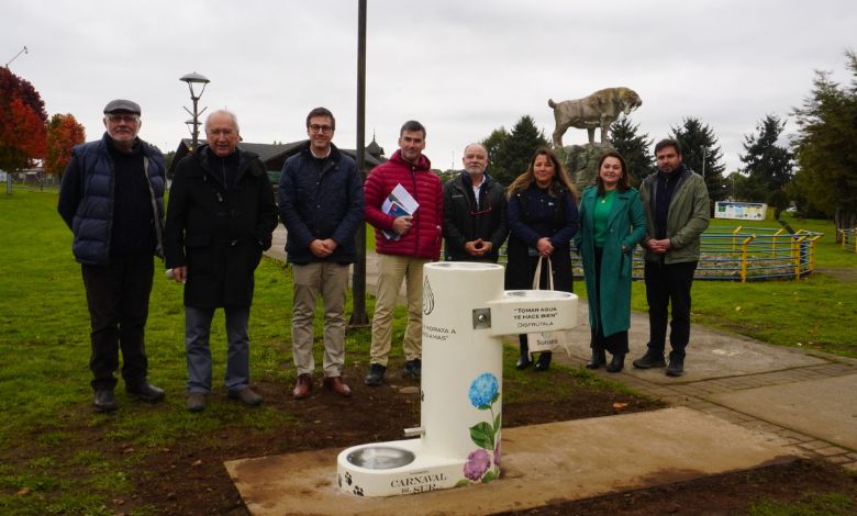 Inauguran nuevo bebedero público de agua potable en Parque Chuyaca de Osorno para uso de personas y mascotas