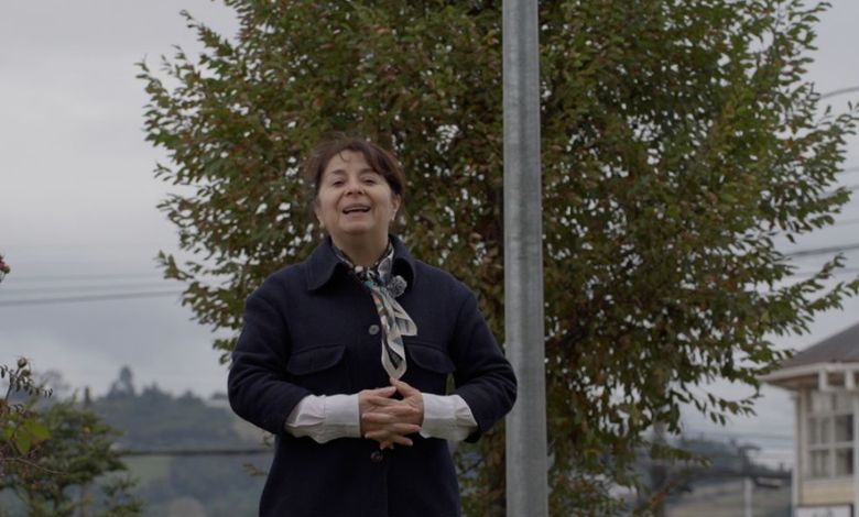 Dalcahue sigue avanzando con nuevas medidas de seguridad vial e iluminación pública