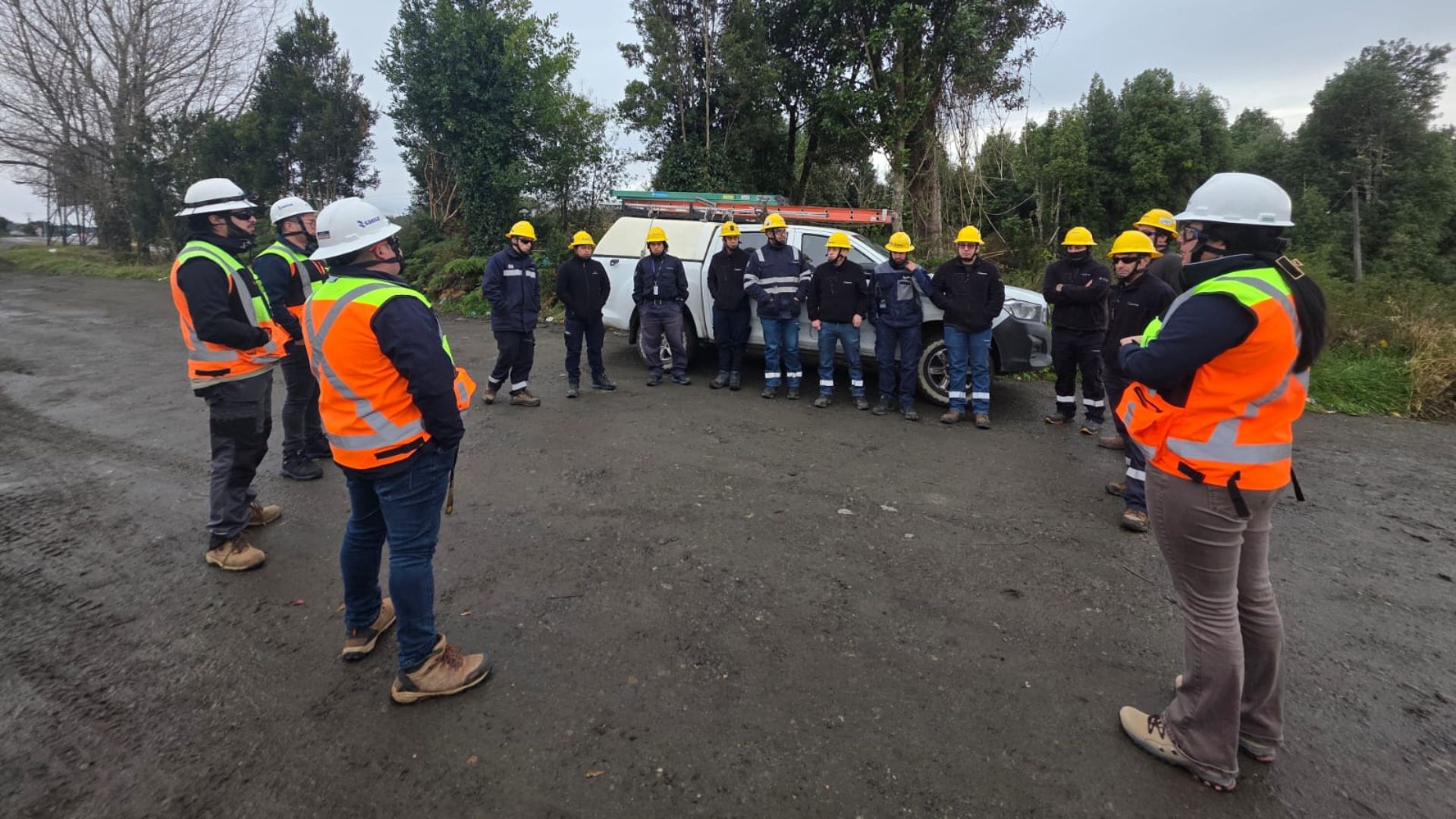 Saesa refuerza seguridad de sus instalaciones en el sector urbano de la comuna de Quellón con operativo de inspección de la red eléctrica