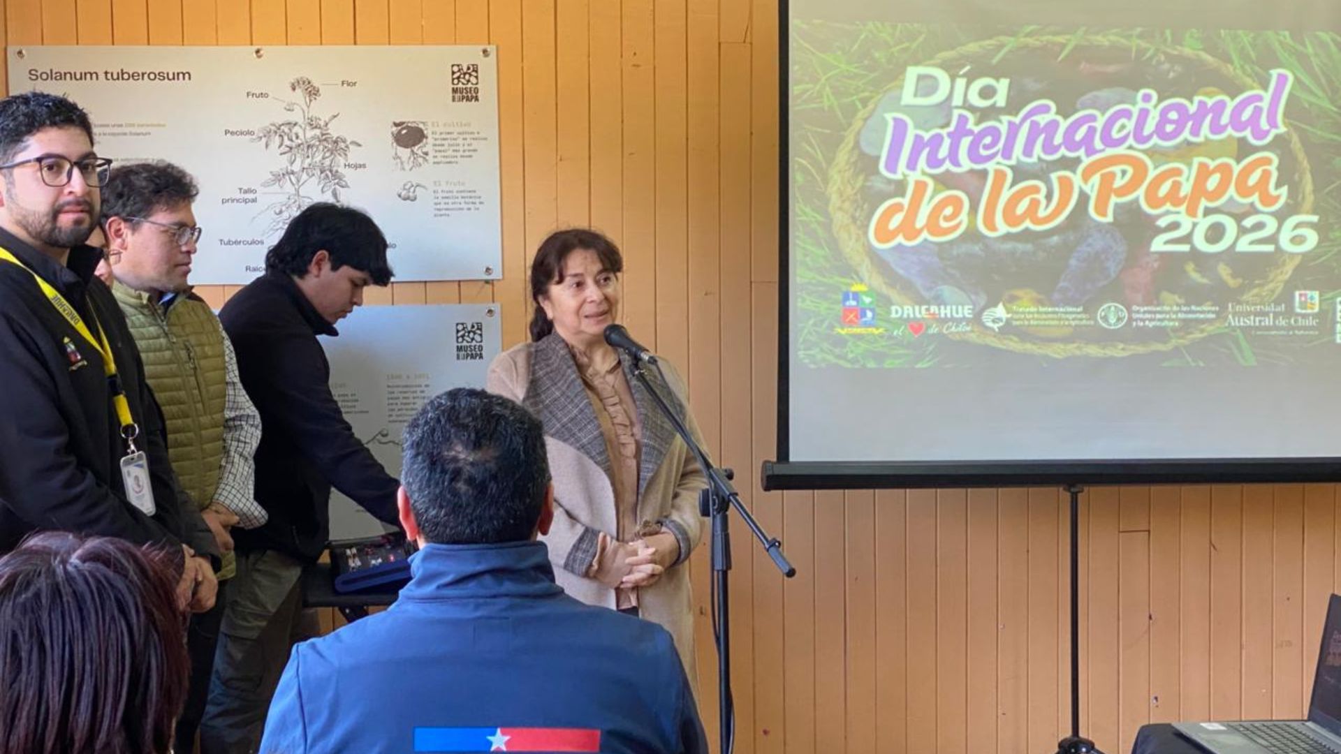 Dalcahue celebró la riqueza patrimonial de la papa chilota y sus más de 286 variedades nativas
