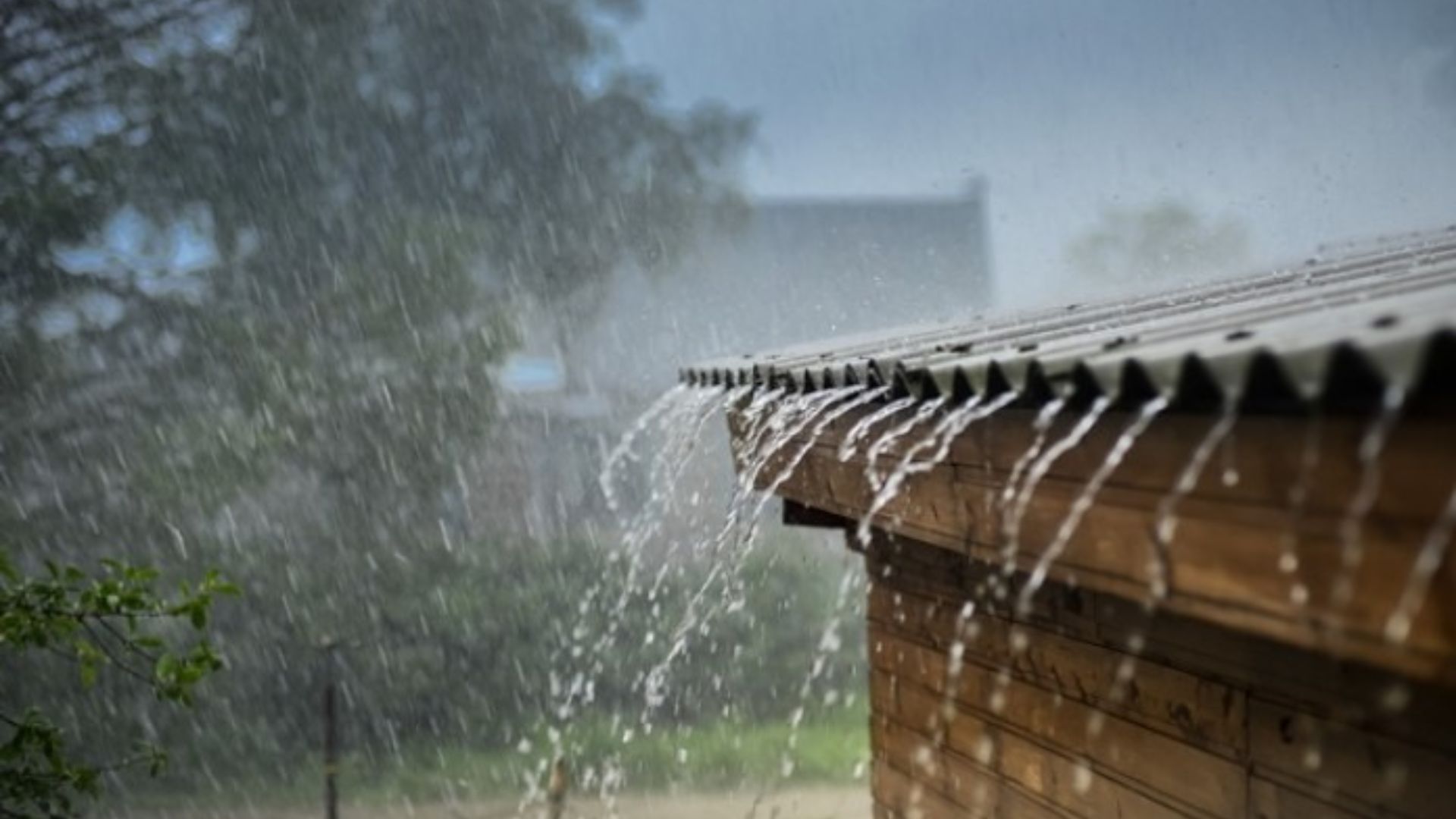 Senapred mantiene alerta preventiva en Los Lagos por lluvias, viento y nevadas