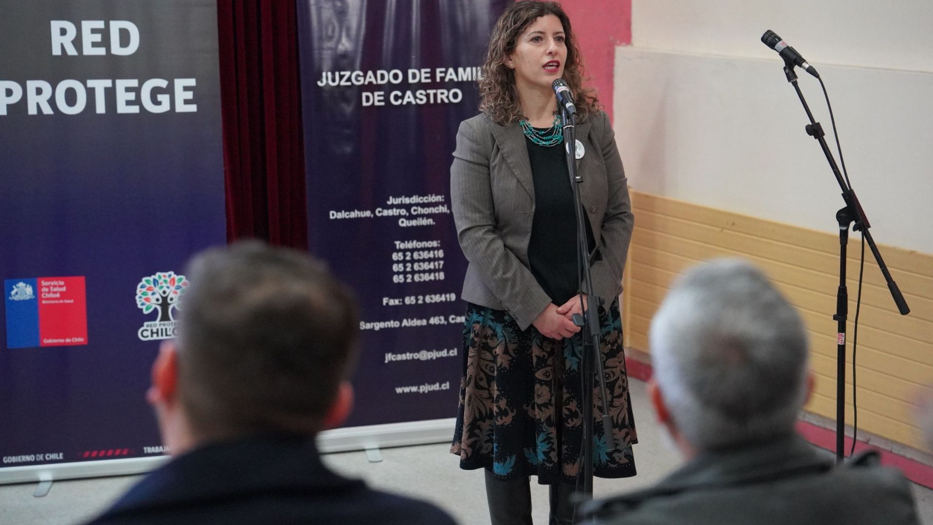 Más de 50 profesionales se capacitan en Castro para detectar casos de explotación sexual infantil