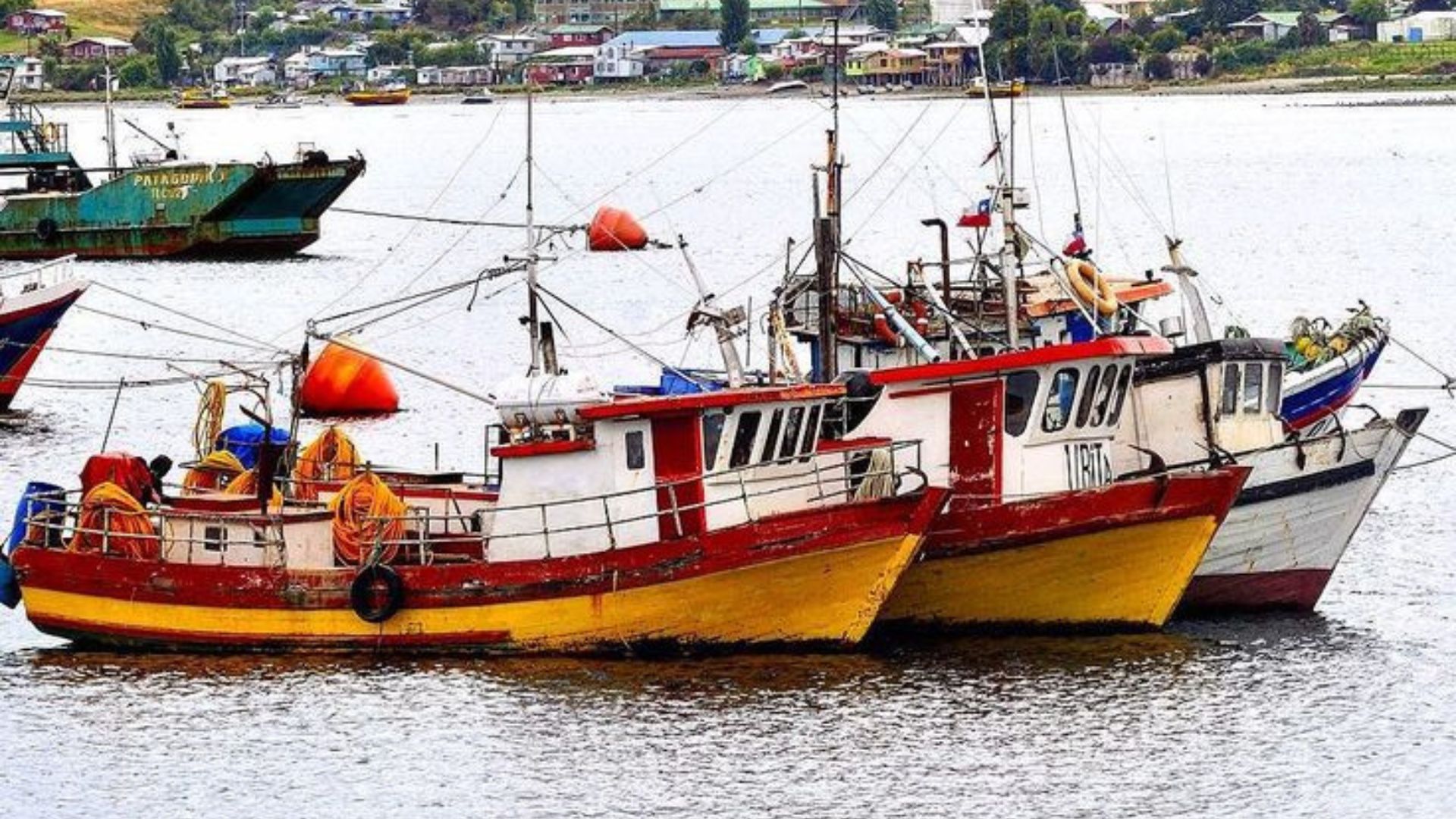 Marina Mercante acusa falta de fiscalización por transporte de combustible en Los Lagos