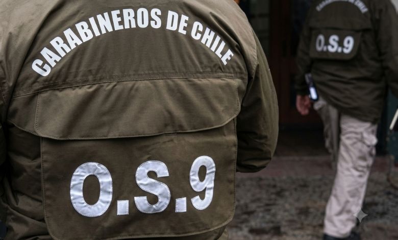 Mujer denuncia nuevas amenazas tras liberación de hombre que la atacó con un hacha