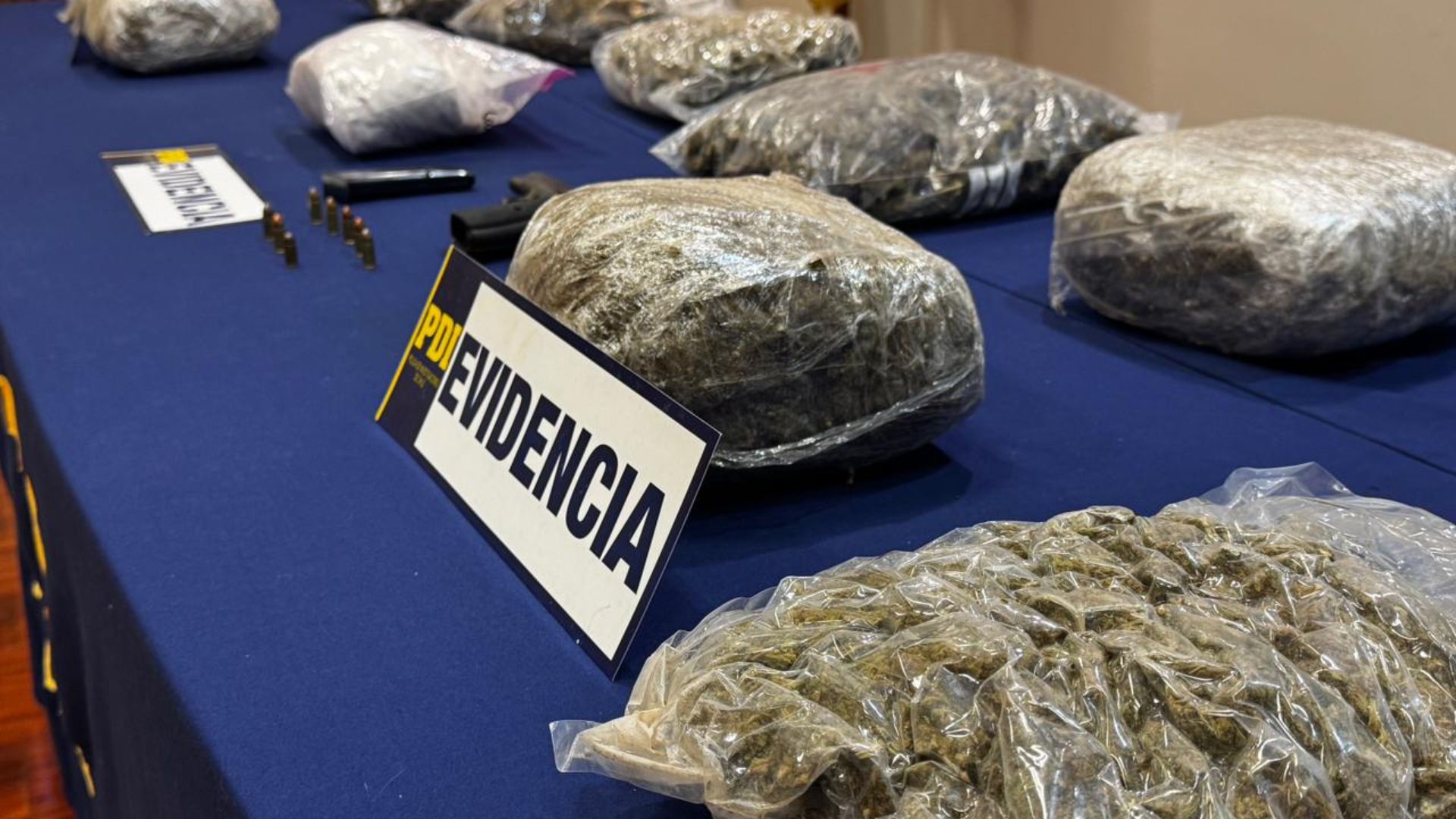 PDI desarticula en Puerto Montt organización criminal extranjera e incauta más de 53 kilos de droga