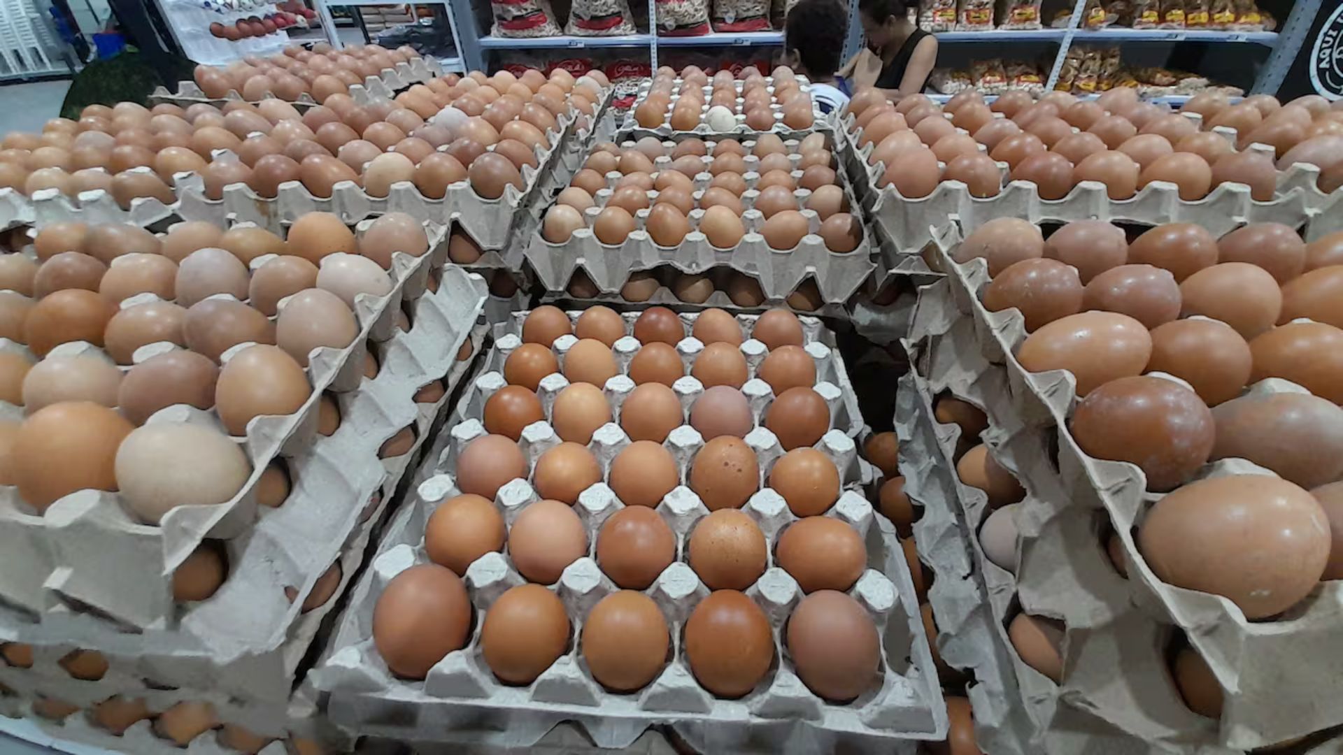 SERNAC detecta etiquetados engañosos en huevos y aclara mitos nutricionales