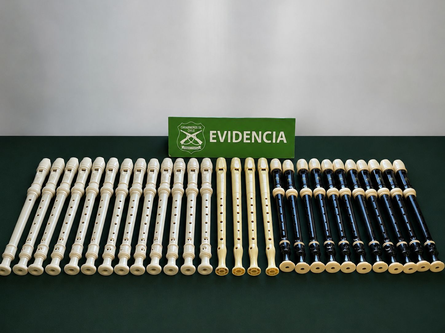 Detuvieron a sujeto por receptación de especies de la escuela Kimun Lawal de Alerce