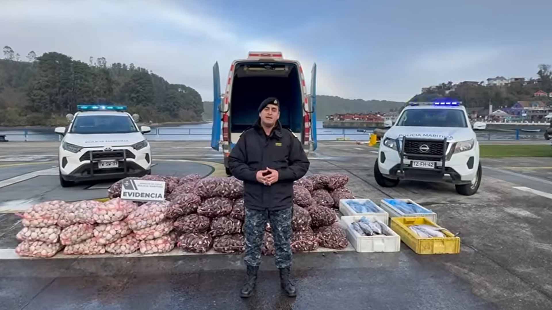 Armada incauta más de tres toneladas de productos del mar sin acreditación legal en Puerto Montt
