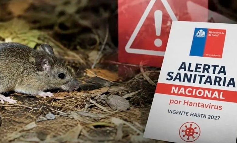 Minsal decreta Alerta Sanitaria preventiva por hantavirus y refuerza medidas en Los Lagos