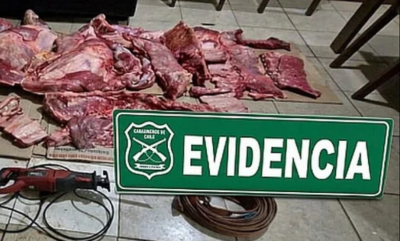 Detienen a dos hombres en Los Muermos por abigeato, robo de madera y manejo en estado de ebriedad