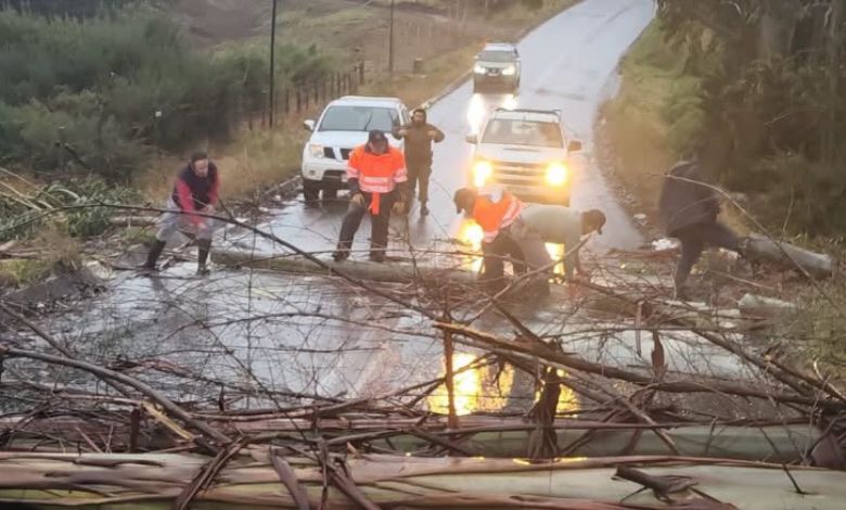 Sistema frontal deja emergencias en Los Lagos y más de 3.600 clientes permanecen sin luz