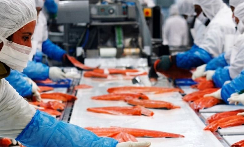 Desempleo en Los Lagos alcanza 7,1%, su nivel más alto desde la pandemia