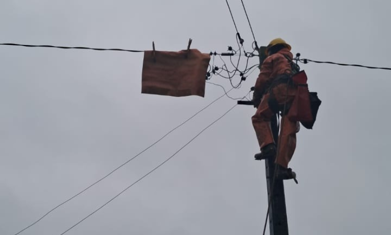 Saesa refuerza sus equipos ante evento climático que afectará a Chiloé